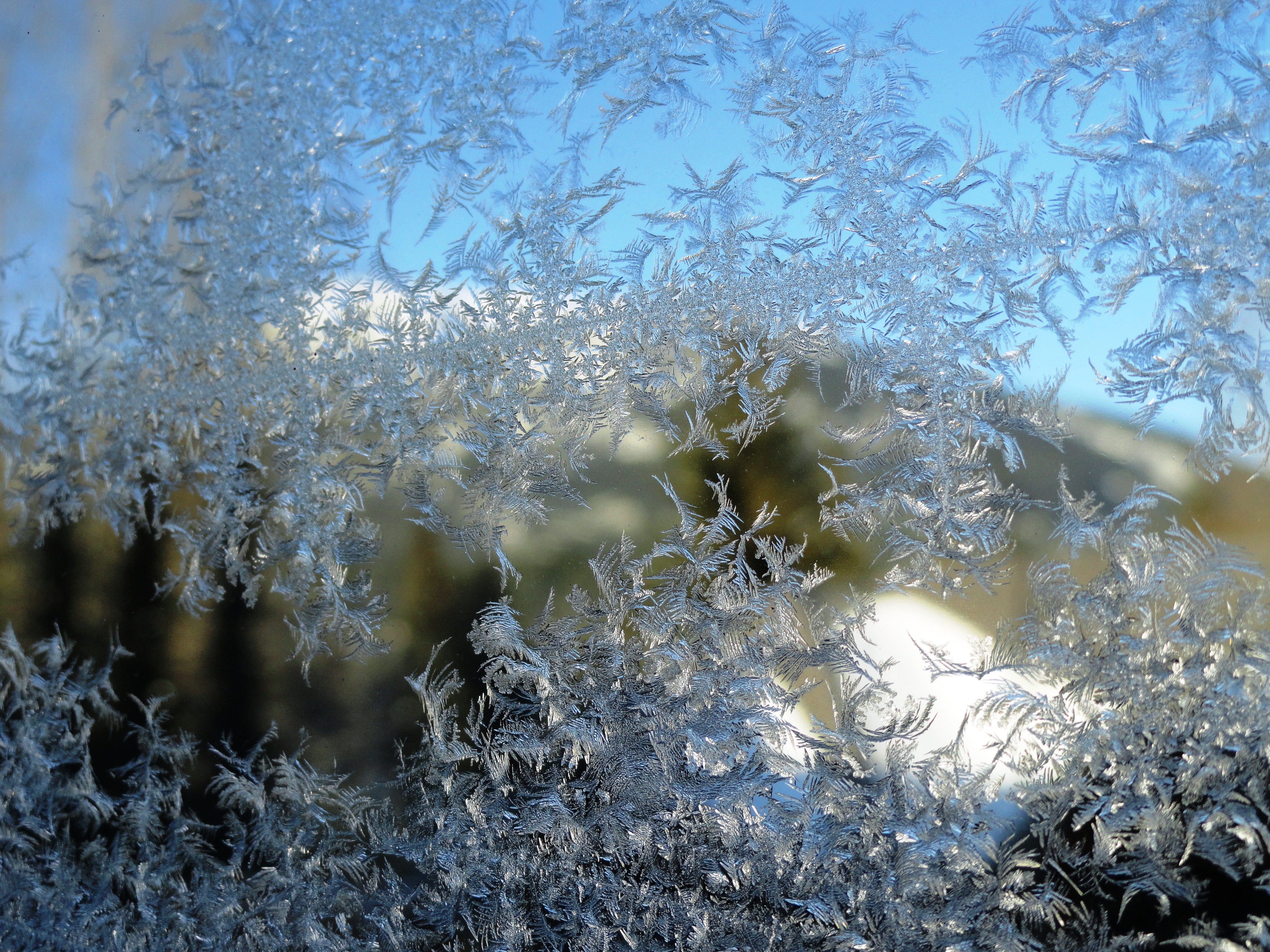 Fosty Windowr, Whistler Blackcomb