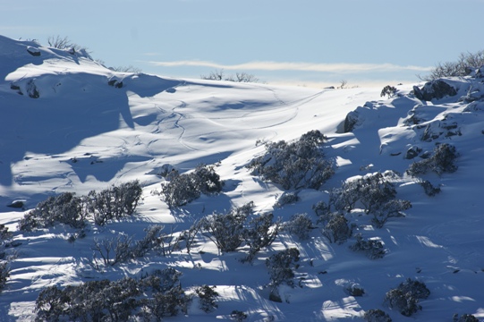First Tracks at Blue Cow, Perisher