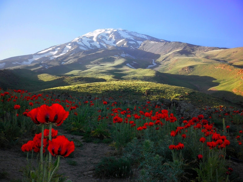 Ali Saeidi NeghabeKoohestaN, Mount Damavand