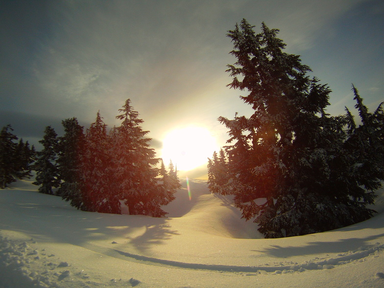Sunrise hike #2, Timberline