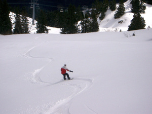 First Tracks Fresh Powder, Leysin photo