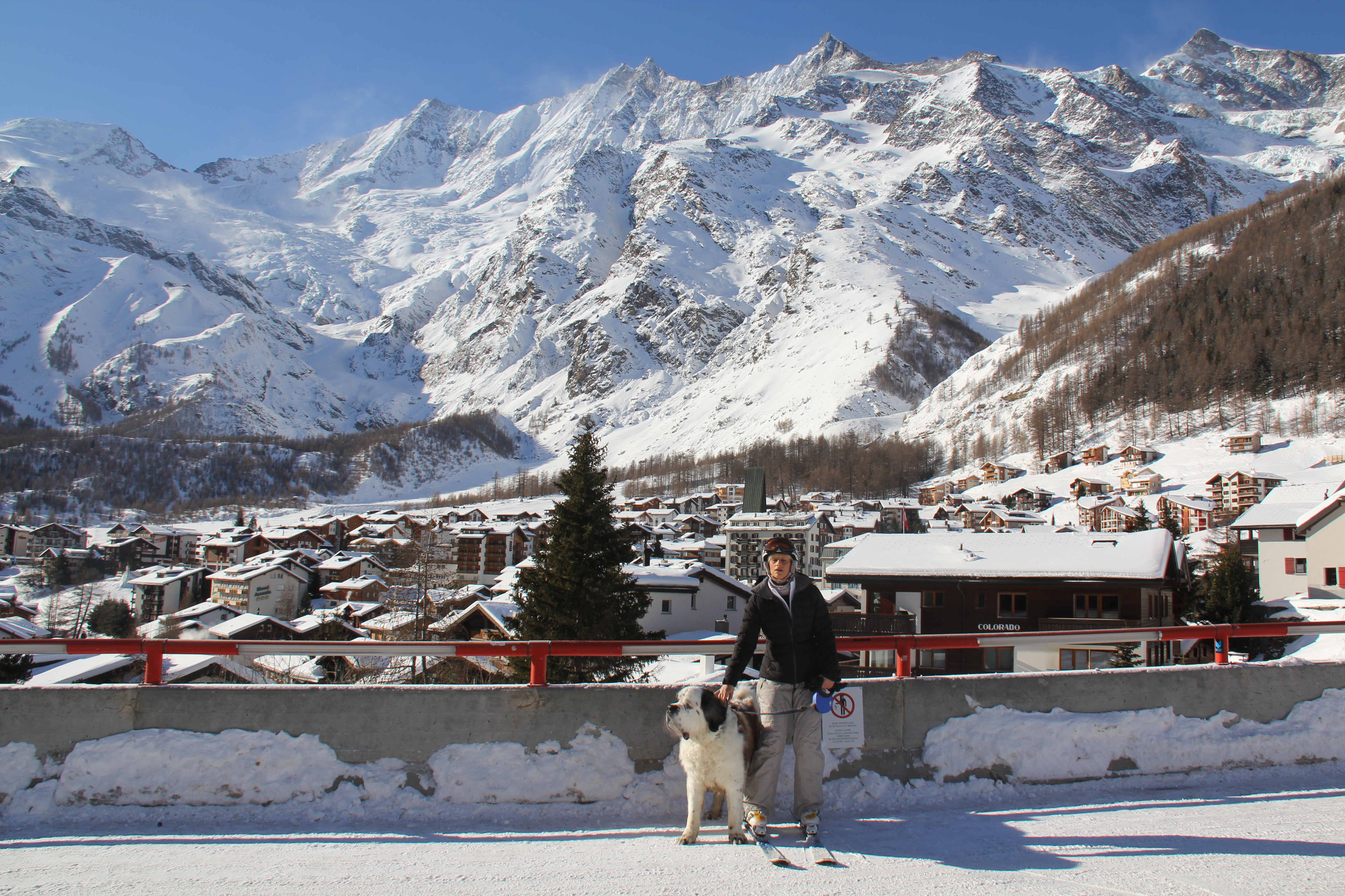 St Bernard in Saas Fee