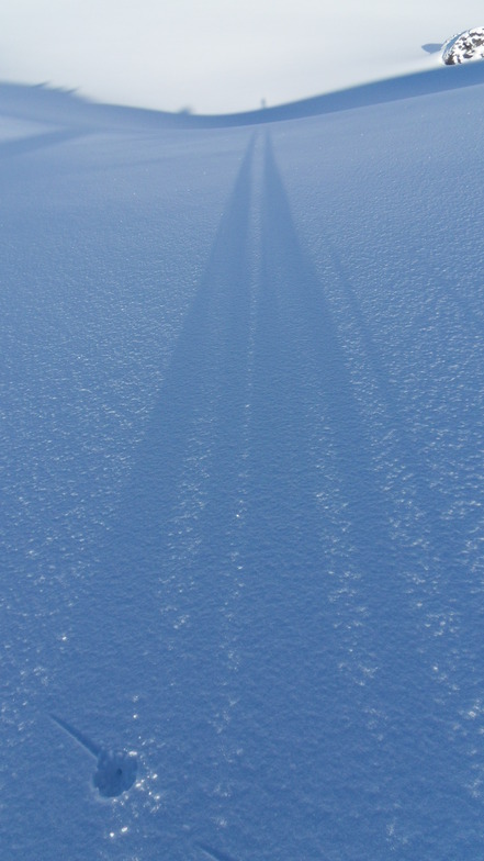 Shadowland, Antillanca