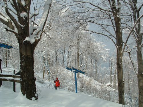 Dobogókő Sícentrum Ski Resort by: Mácsai Tamás