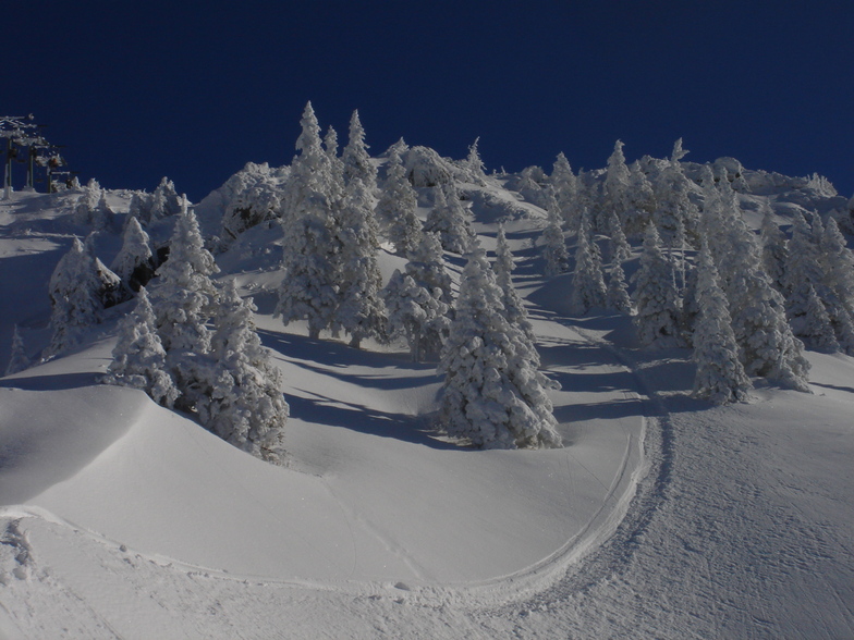 100% Austria, Ehrwalder Alm