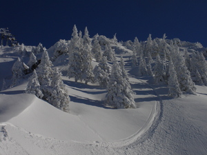 100% Austria, Ehrwalder Alm photo