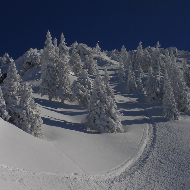 100% Austria, Ehrwalder Alm