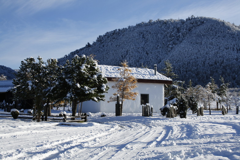 Casa Techo Verde, Gerencia Suizandina, Corralco (Lonquimay)