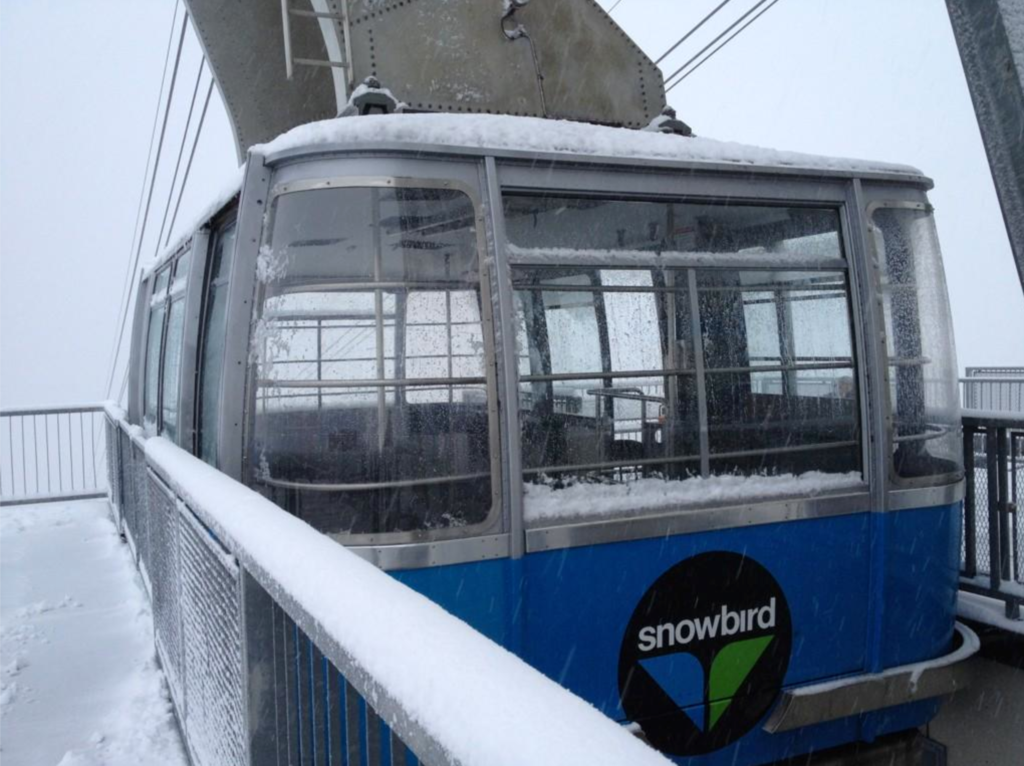 Snowing in Snowbird!