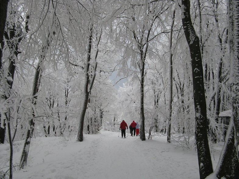 Winter in autumn, Dobogókő Sícentrum