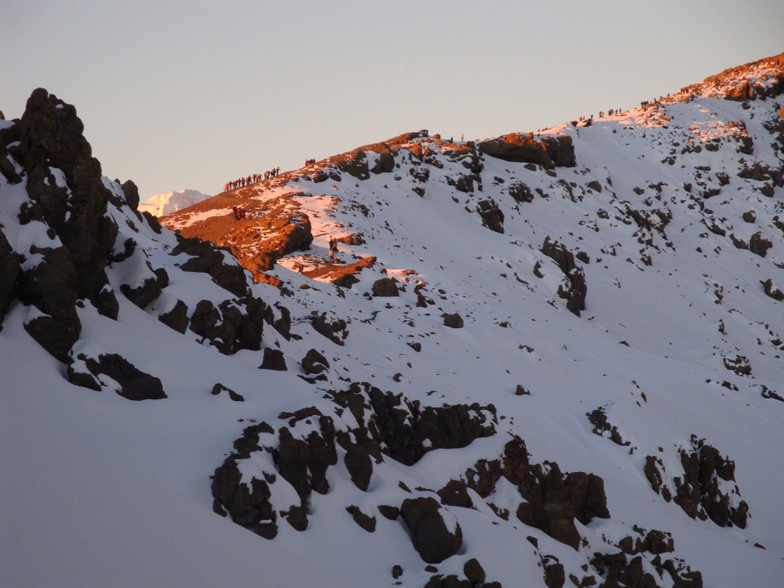 Ali   Saeidi   NeghabeKoohestaN, Mount Kilimanjaro