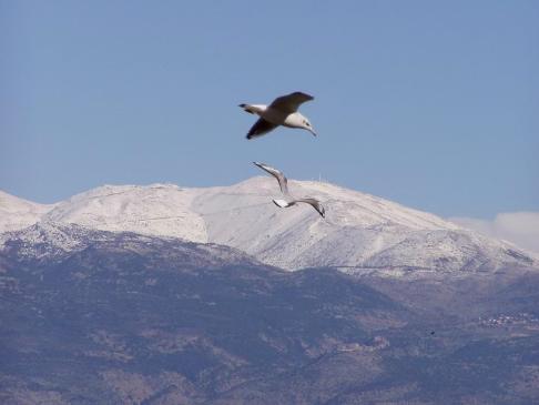 nice view from galil ilion to the hermon, Mount Hermon