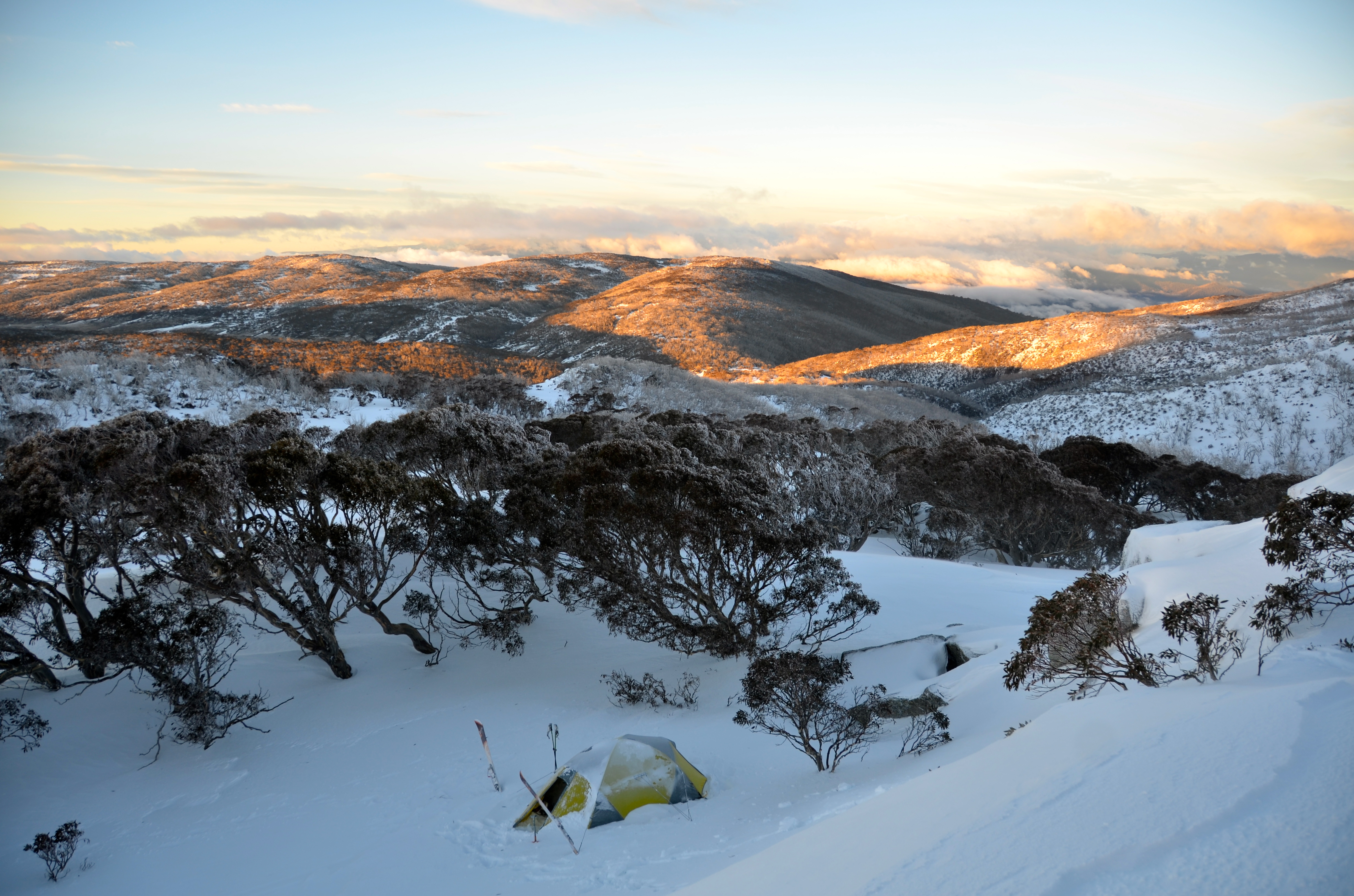 Early morning near Bogong Creek, Thredbo, Australia