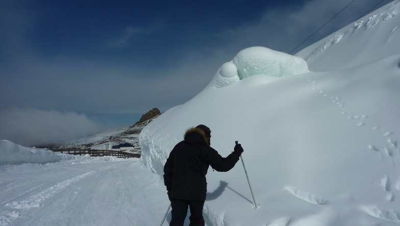 Sierra Nevada 2010