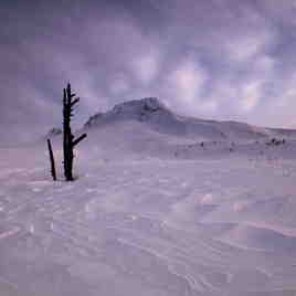 Early Morning MtHood Climb, Timberline