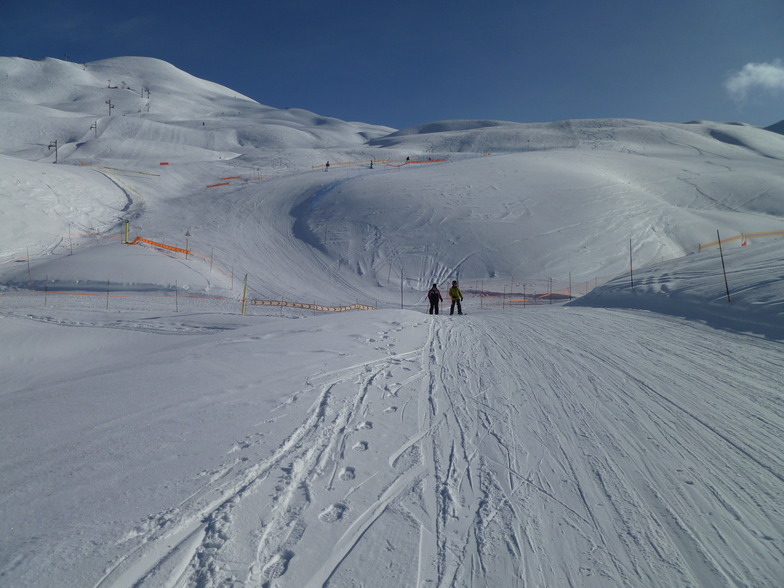Vars
