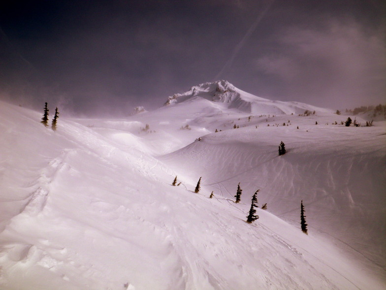 Mount Hood early moring climb2, Timberline