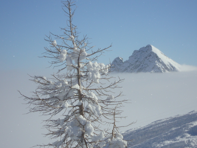 Mare di Nebbia, Bosco Gurin