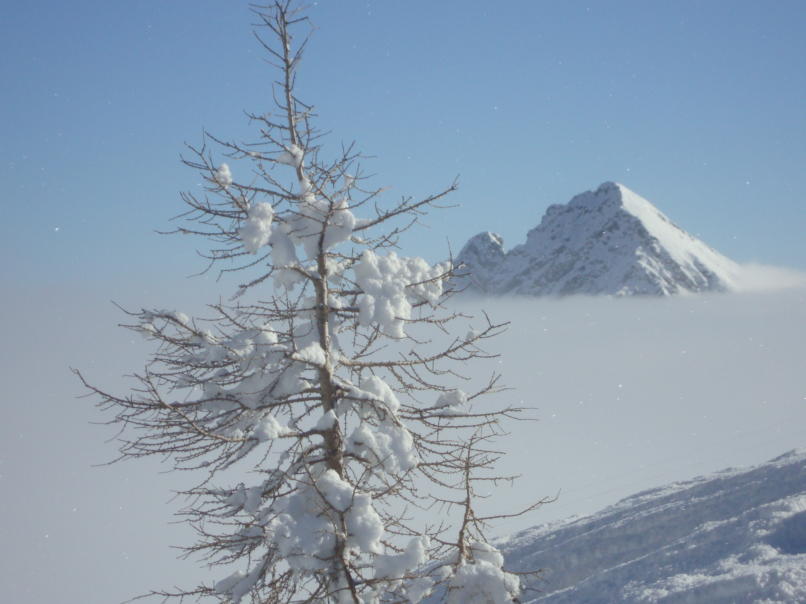 Mare di Nebbia, Bosco Gurin