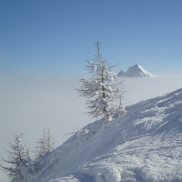 Piramide nella Nebbia, Bosco Gurin