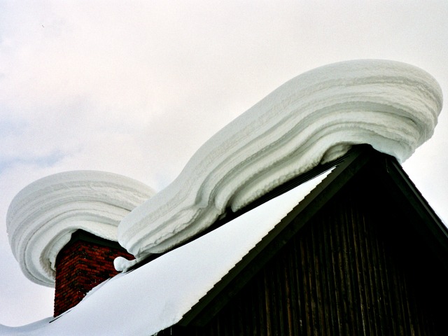 Snow Mushroom, Niseko, Hokkaido, Japan, Niseko Grand Hirafu
