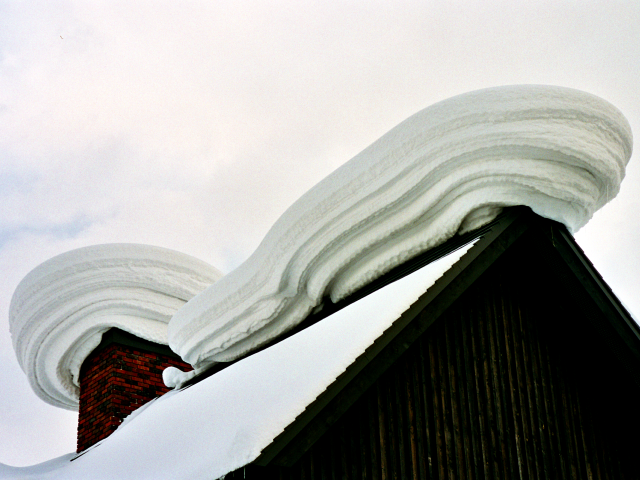 Snow Mushroom, Niseko, Hokkaido, Japan, Niseko Grand Hirafu