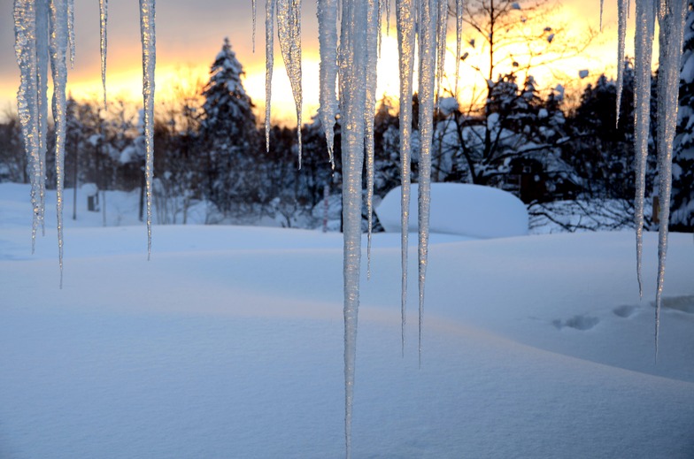 Icicles at Sunset, Asahidake, Hokkaido, Japan