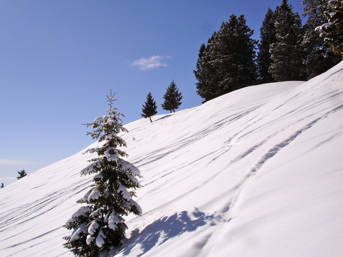 Sun Valley Ski Resort by: Randy Havre