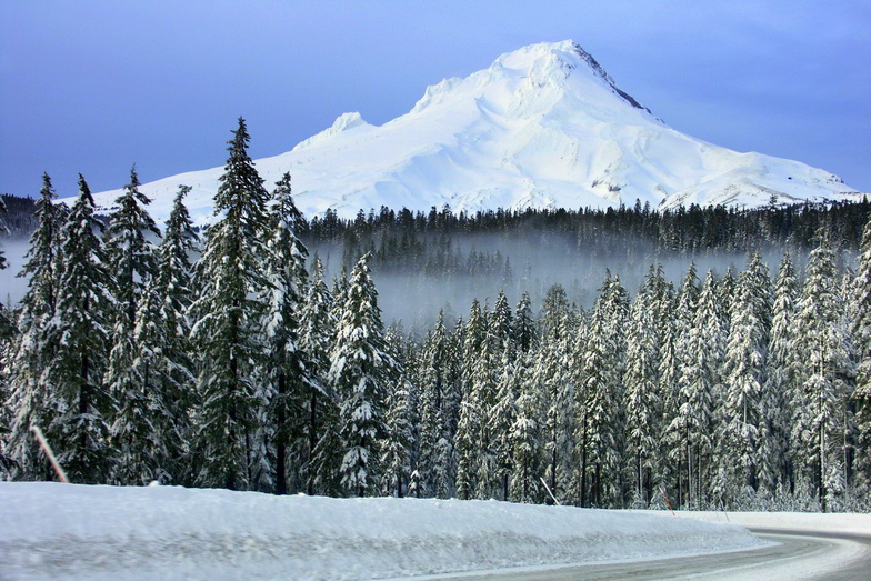 Road to Mount Hood, Timberline