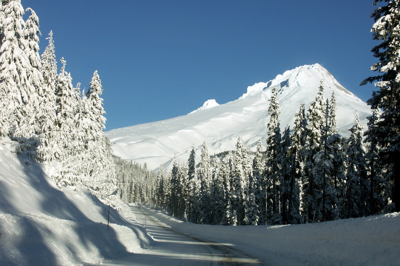 road to Meadows, Mt Hood Meadows