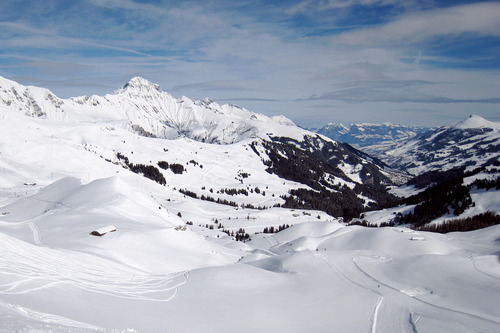 Adelboden Ski Resort by: Craig Meikle