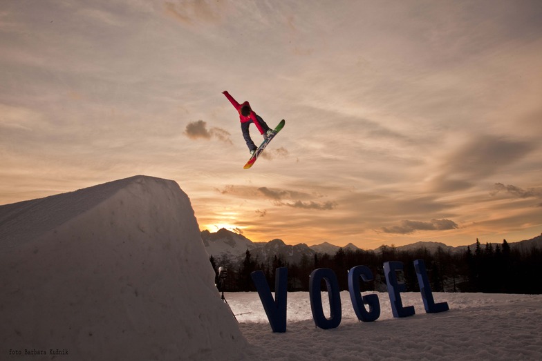 Park Vogel