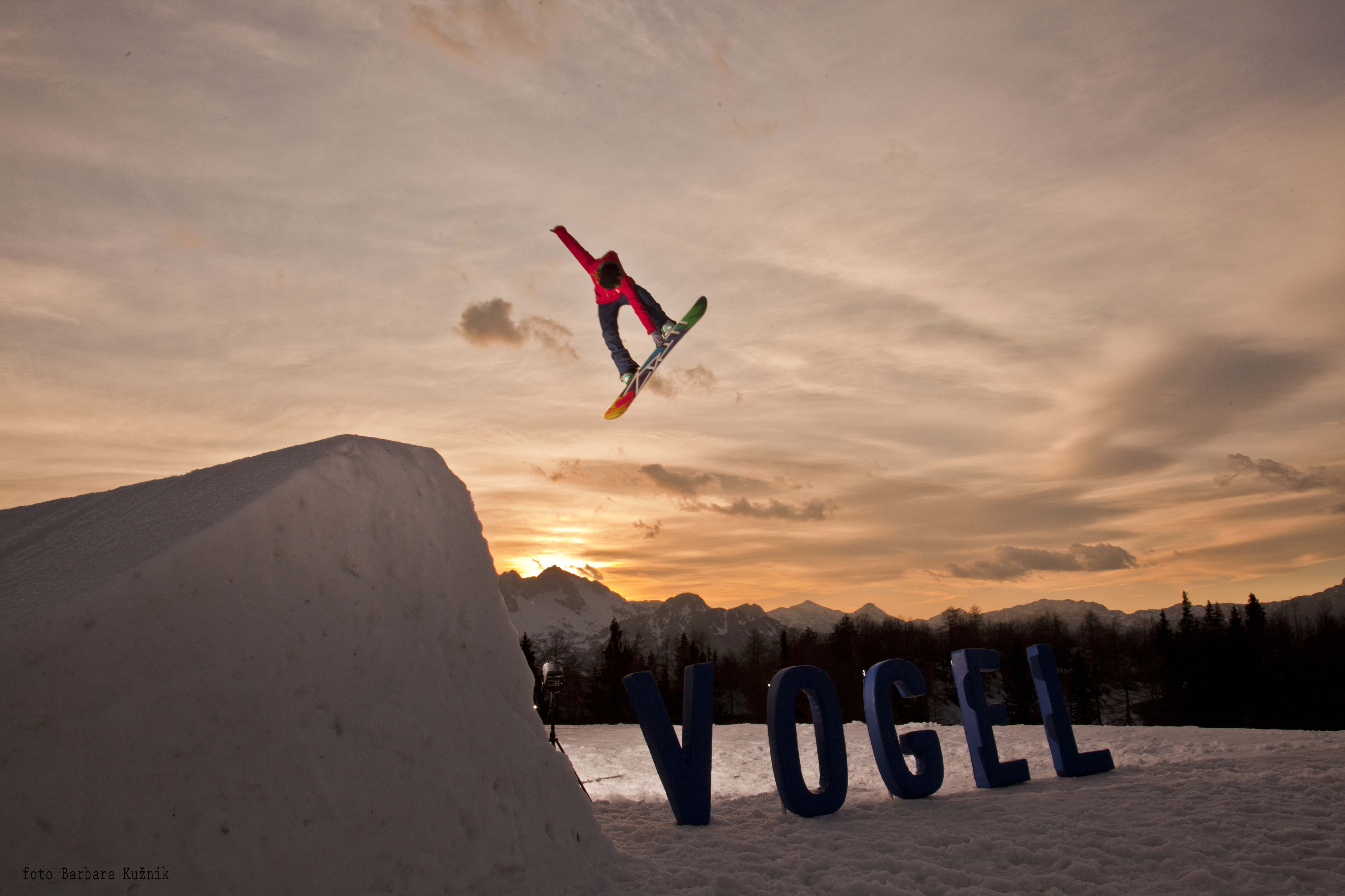 Park Vogel