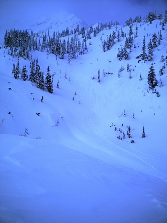 Currie Bowl, Fernie BC