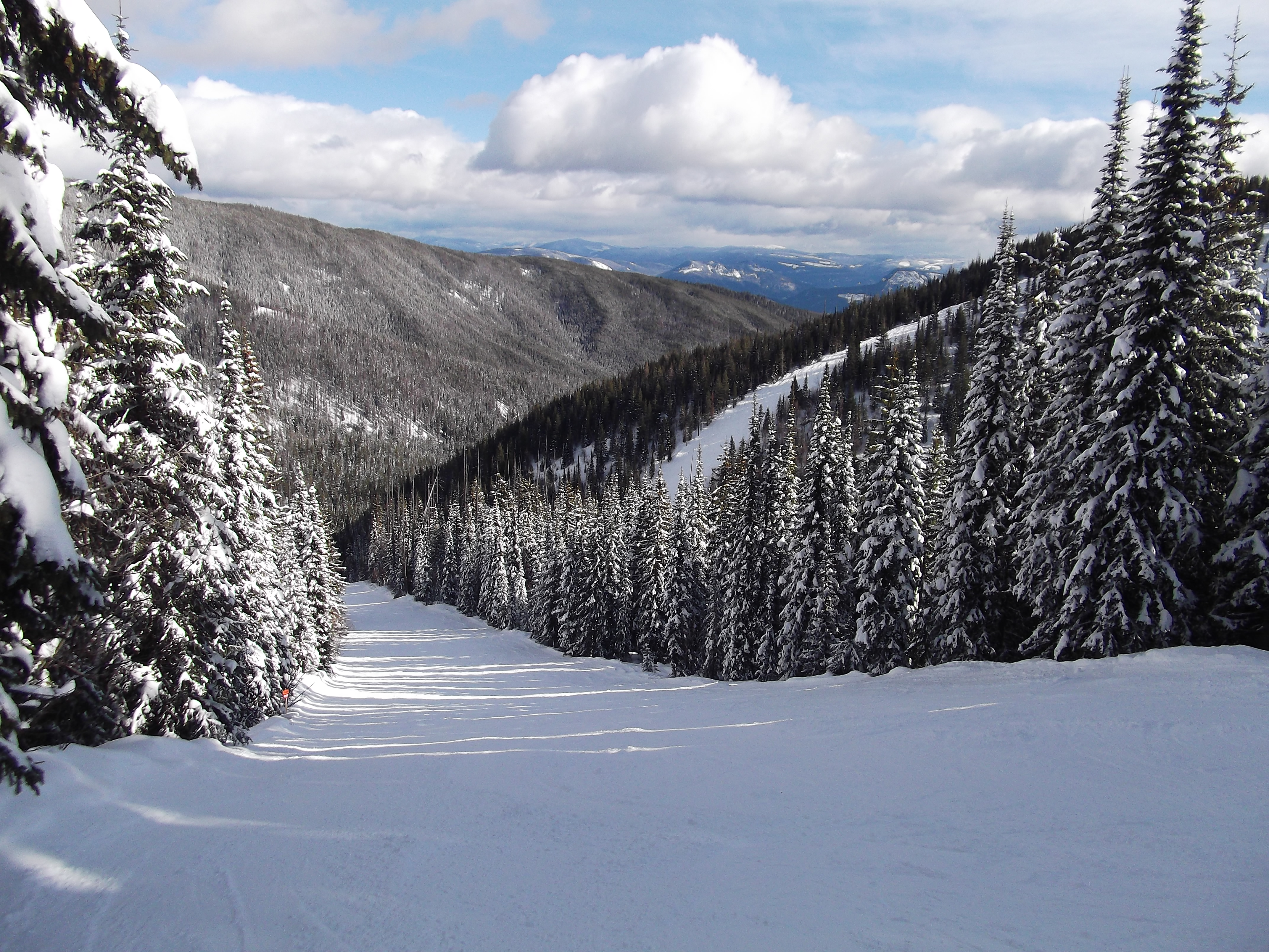 Another quiet Blue, SilverStar