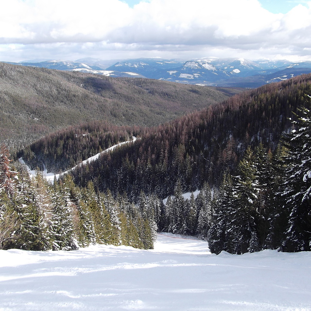 Another quiet run., SilverStar