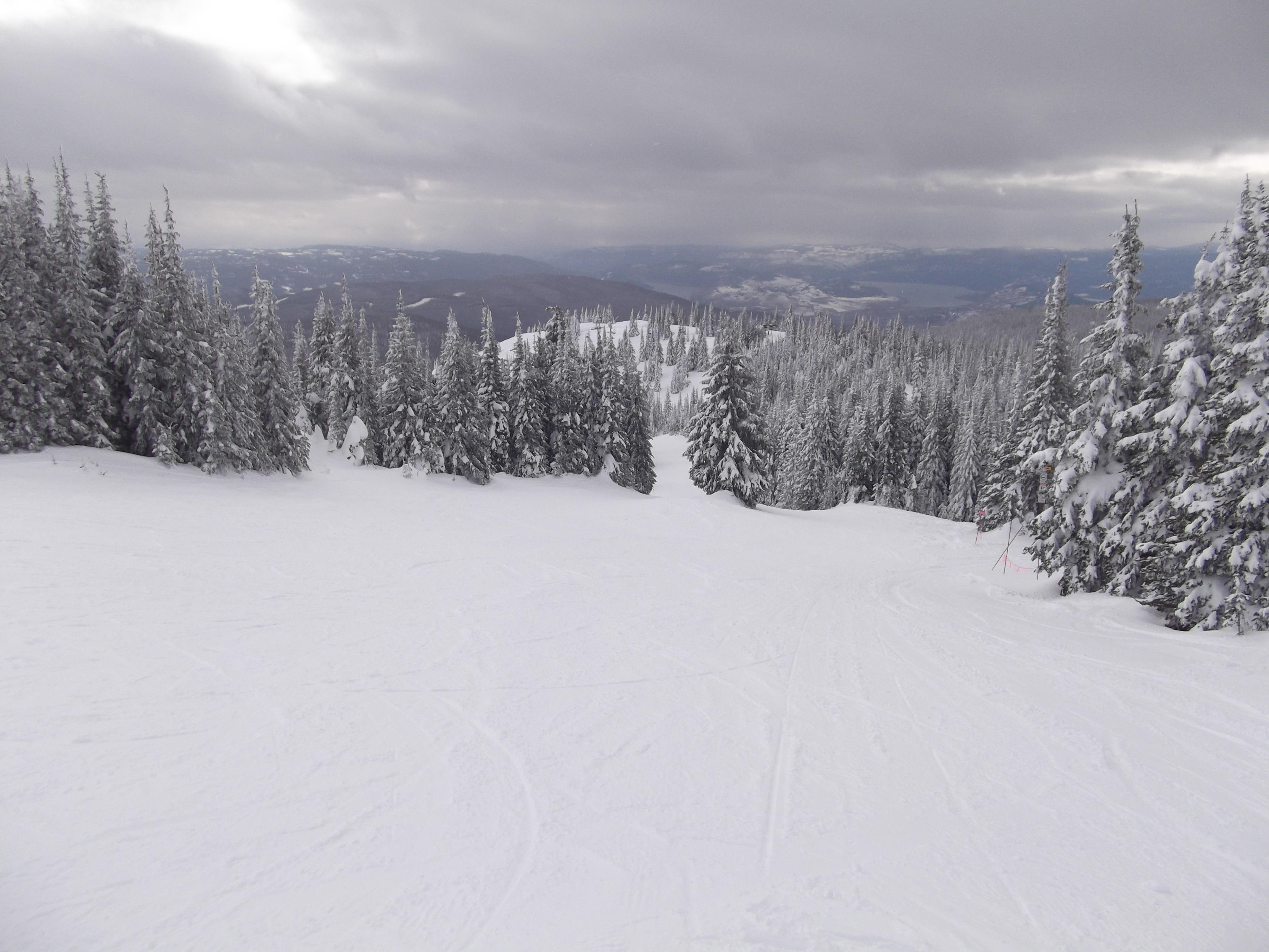 Mid season and all mine..., SilverStar