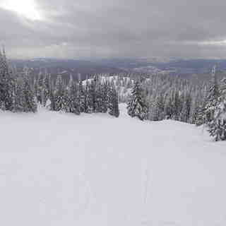 Mid season and all mine..., SilverStar