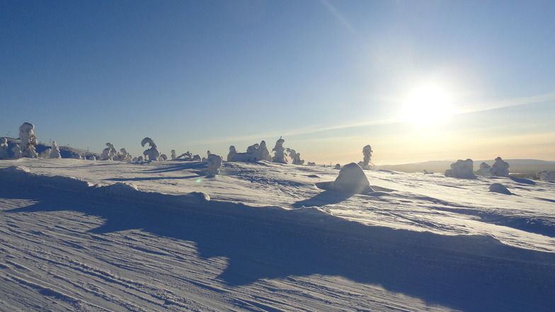 Levi Lapland