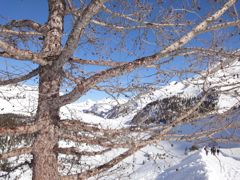 Kandersteg