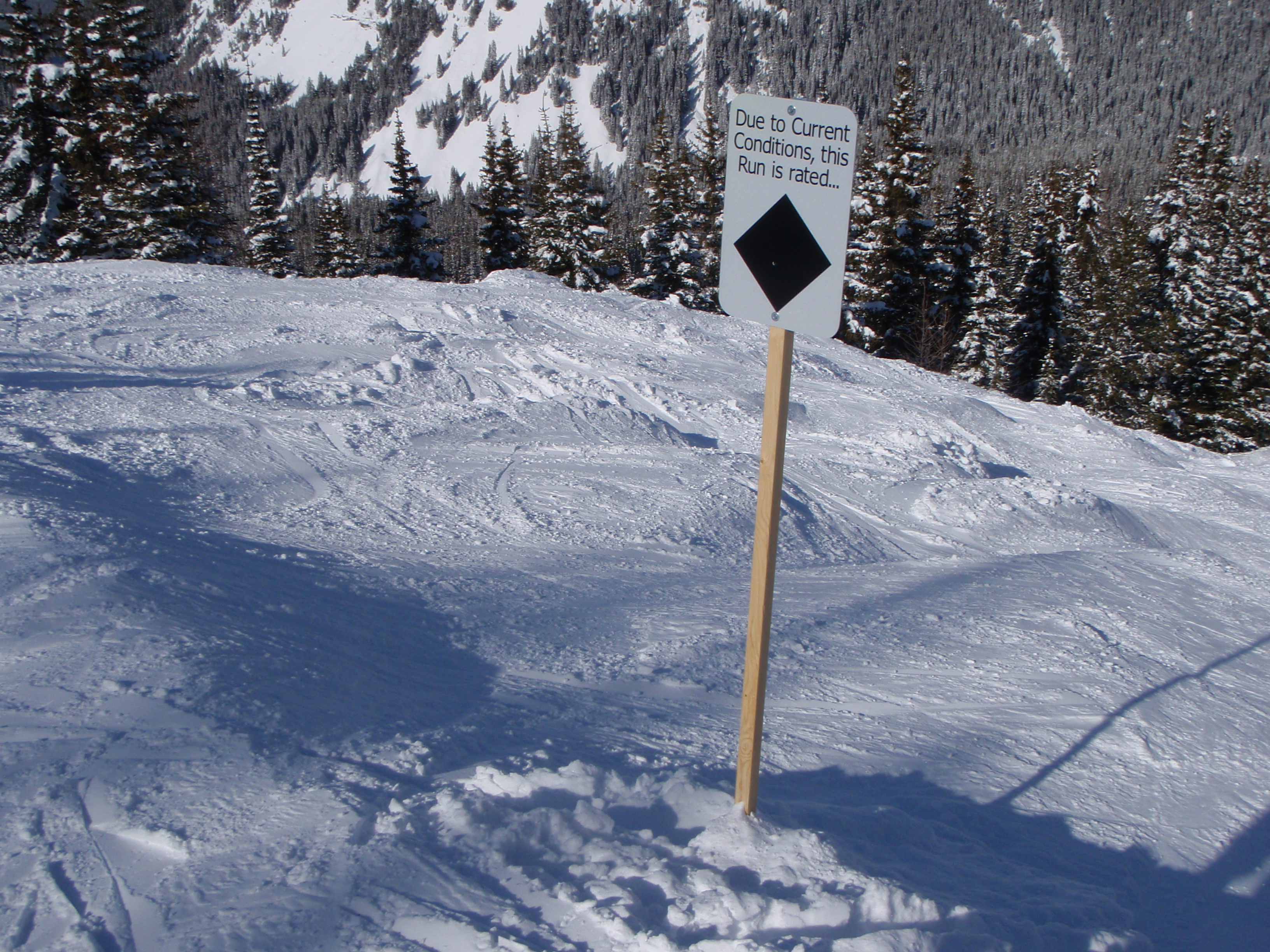 Really !, Lake Louise