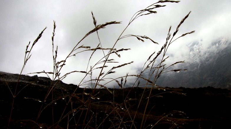 باران, Tochal