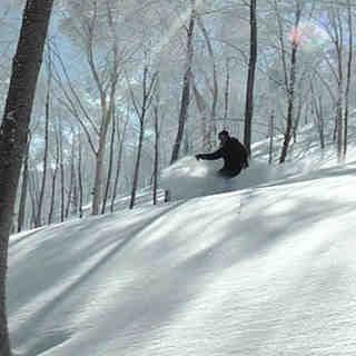 Hakuba Goryu