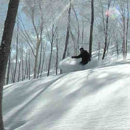 Hakuba Goryu