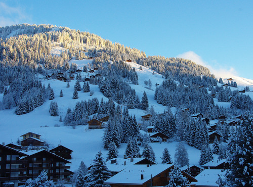 Morgins - Les Portes du Soleil Ski Resort by: Morgins Tourisme