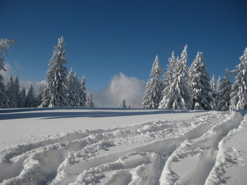 Feldberg Ski Resort by: andyi