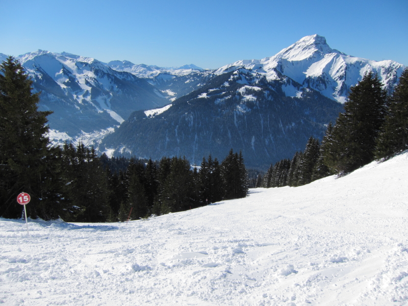 View Down the Barbossine, Chatel
