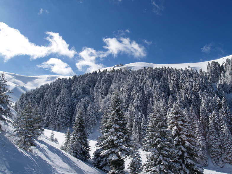 Kozuf Mountain Resort