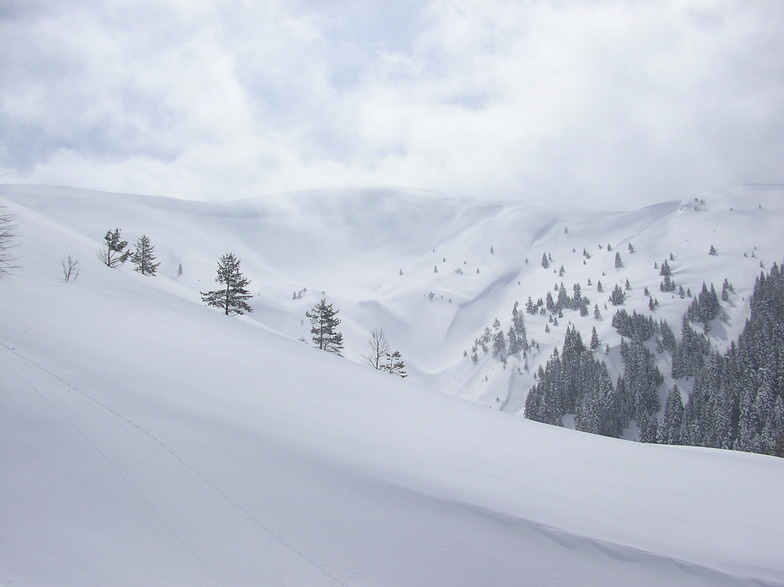 New snow on Kozuf