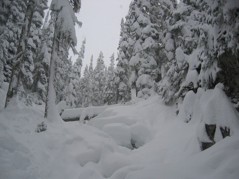 Whistler, Whistler Blackcomb